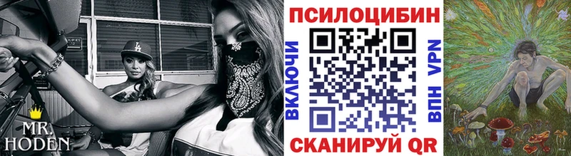 купить закладку  Анива  Псилоцибиновые грибы GOLDEN TEACHER 